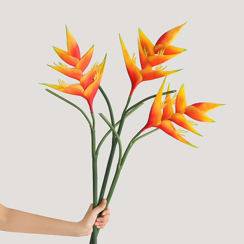 Bird Paradise Strelitzia - ดอกสเตรลิซเซีย เรจินา 85 ซม. จำนวน 1
