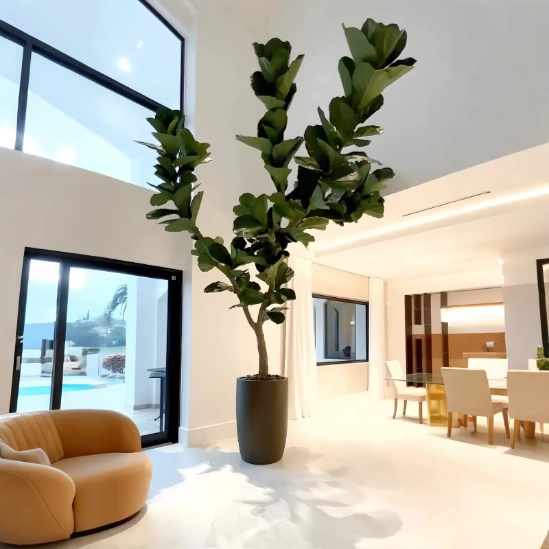 Ficus Lyrata Tree - ต้นไม้ประดิษฐ์ ต้นไม้ปลอมในกระถาง ต้นไม้ประดิษฐ์ ต้นเฟิร์ลีฟฟิก ต้นฟิคัส ลิราต้า