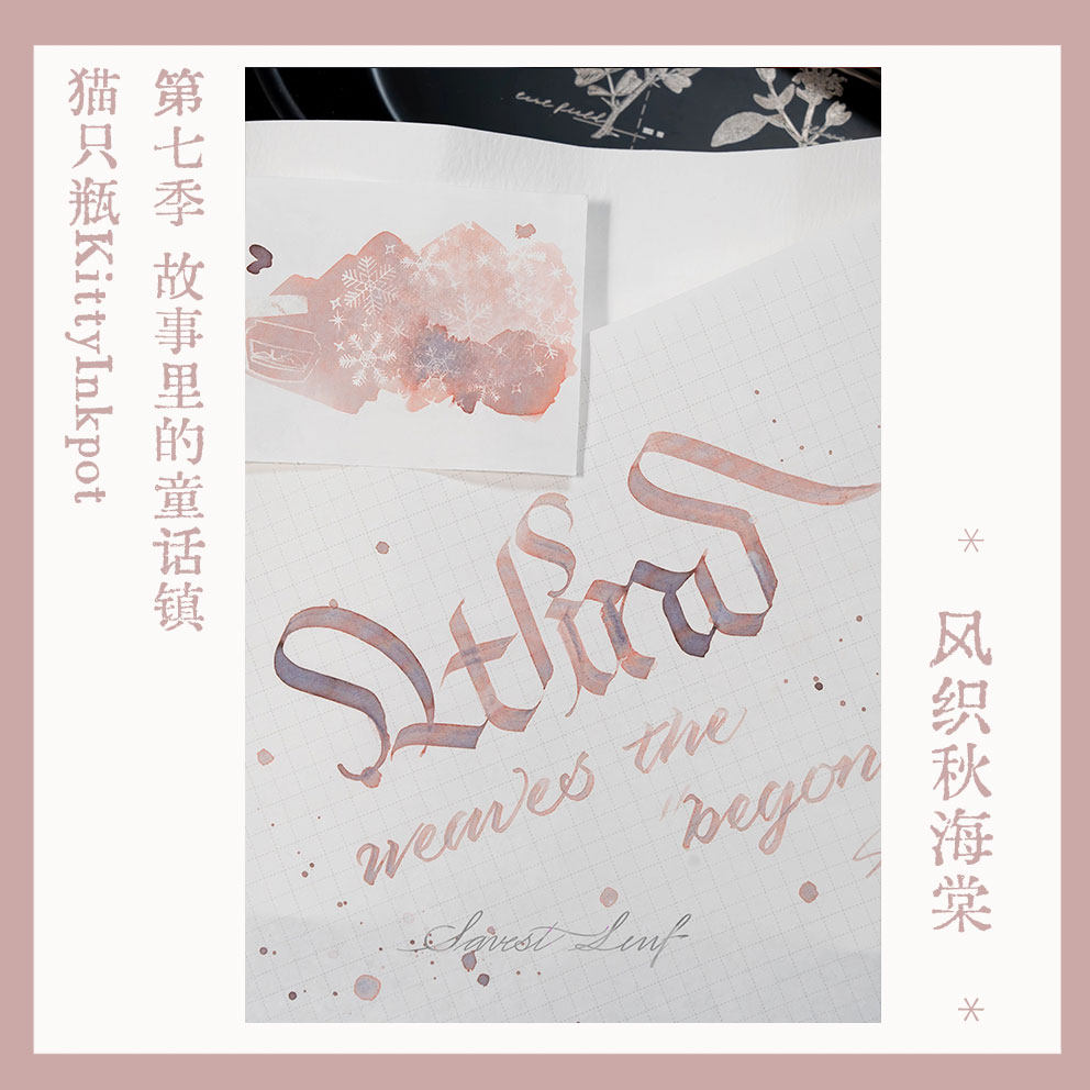 Begonia Rex - คิตตี้อิงค์พอท เบโกเนีย เร็กซ์ คัลเลอร์ 5/35 มล.