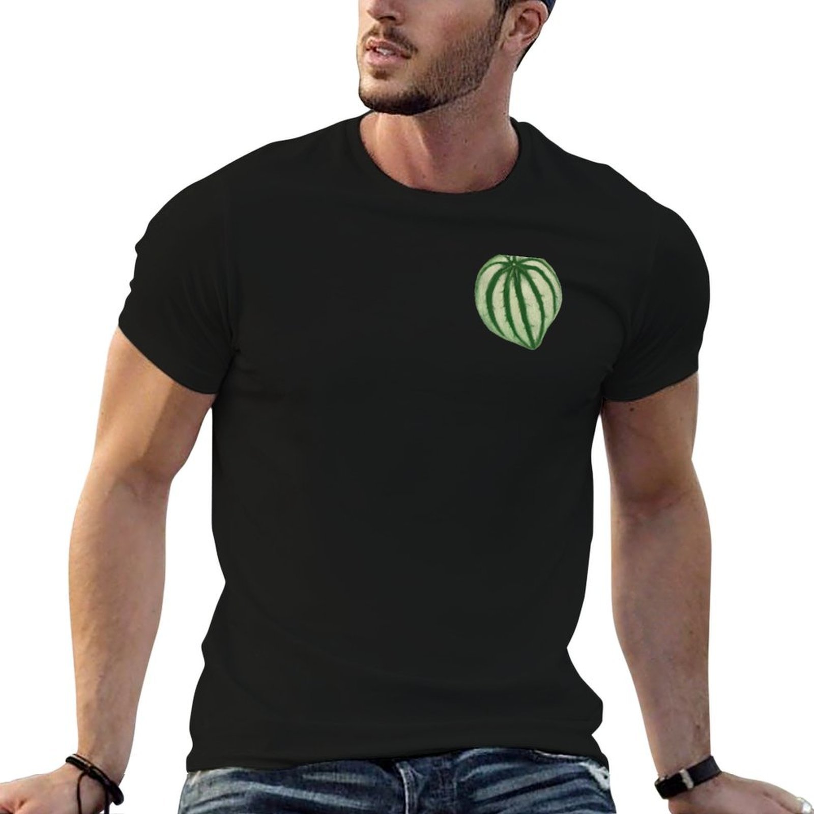 Peperomia Watermelon - เสื้อยืดวอเตอร์เมลอน เปเปโรเมีย ดรายฟิต แขนสั้นสำหรับวิ่ง