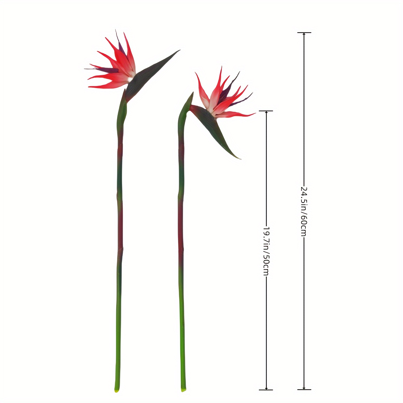 3pcs ประดิษฐ์ Bird Of Paradise - Bird Paradise Strelitzia บทวิจารณ์และราคา