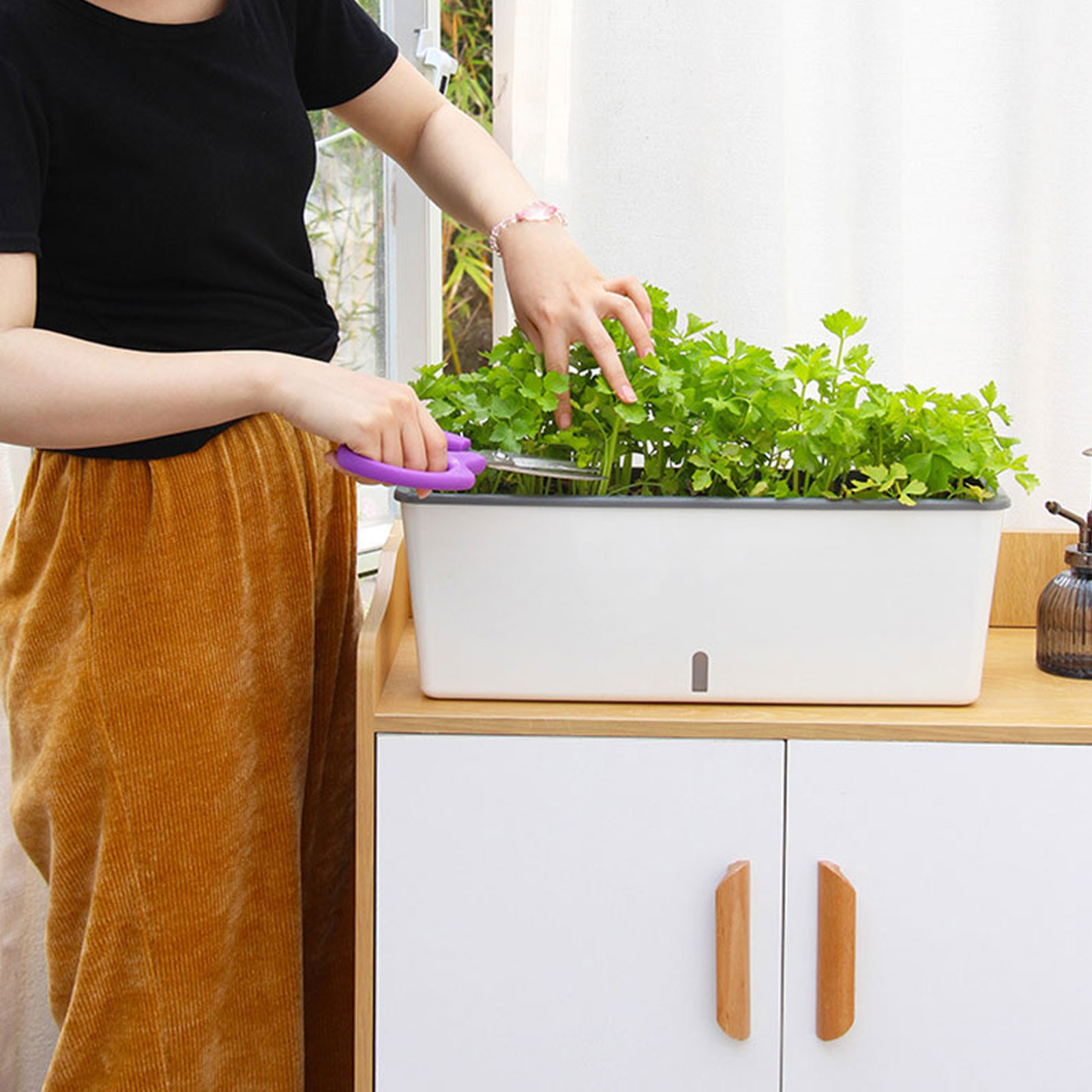 กระถางปลูกต้นไม้รดน้ําด้วยตนเอ - Aloe Vera Pot บทวิจารณ์และราคา