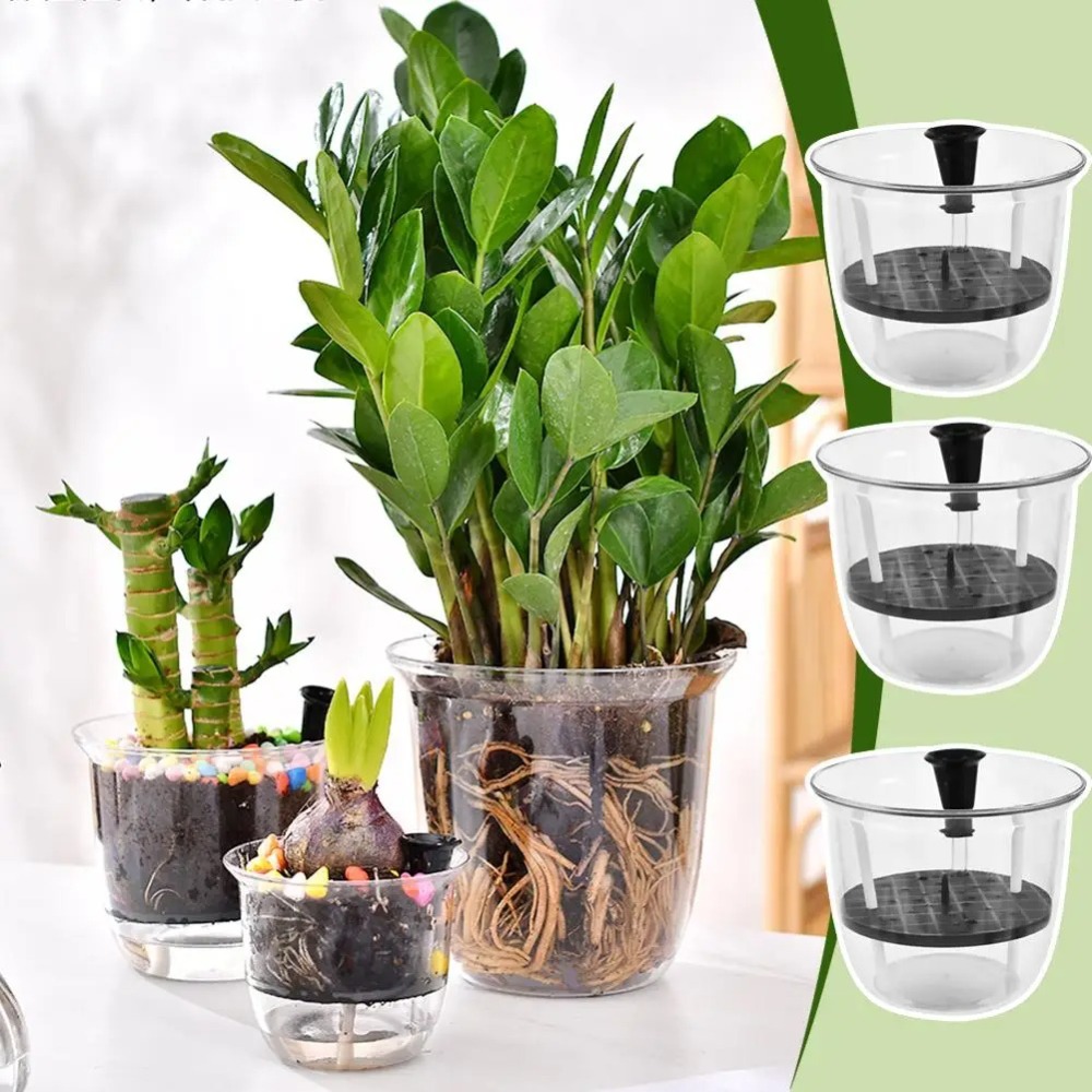 กระถางรดน้ำอัตโนมัติ 2 ชิ้น, ก - Aloe Vera Pot บทวิจารณ์และราคา