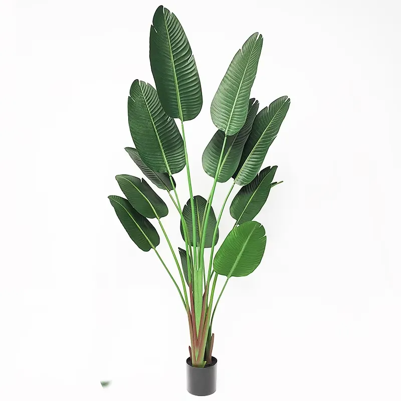 ต้นไม้ประดิษฐ์สีเขียว Yu50 ตกแ - Bird Paradise Strelitzia บทวิจารณ์และราคา