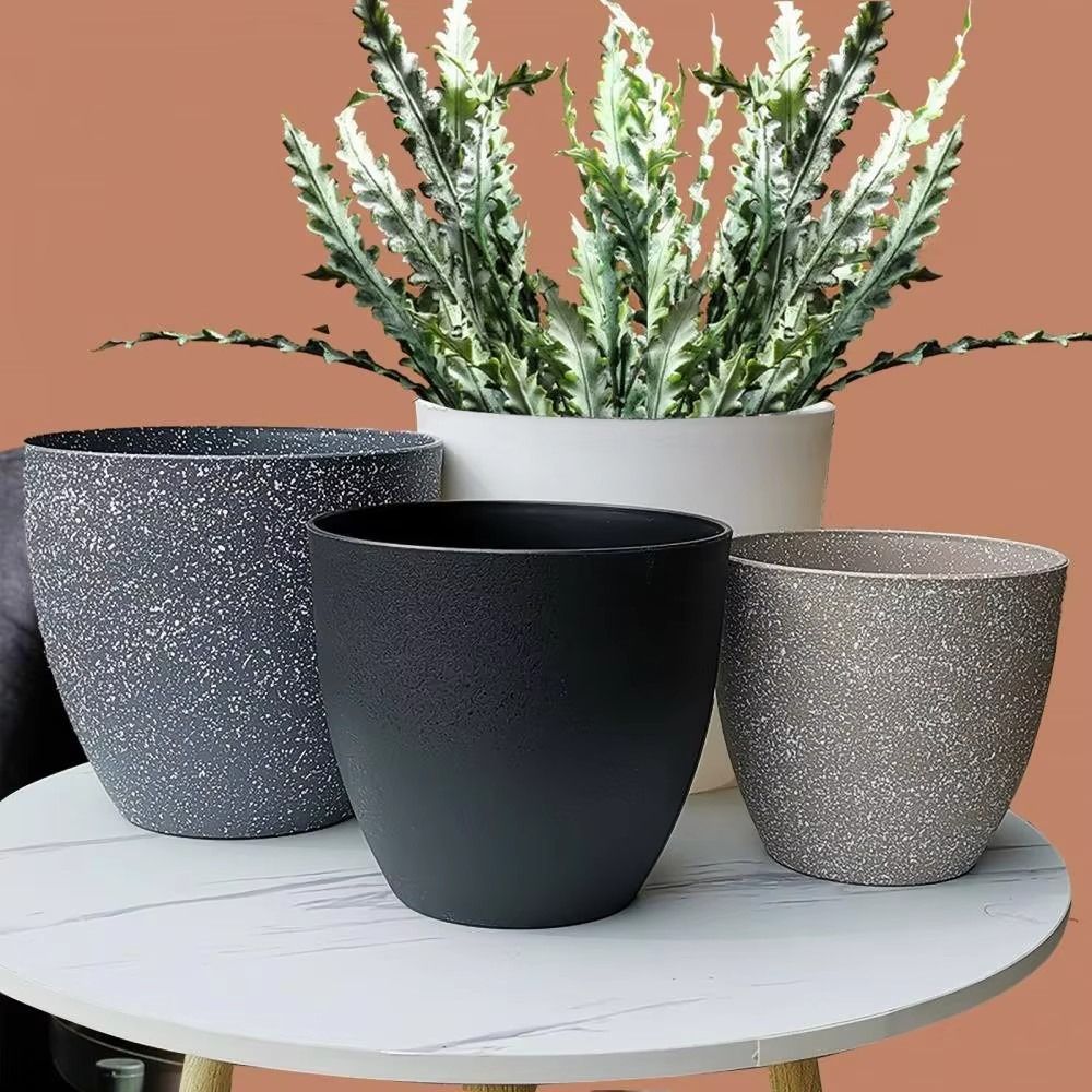 Frosted หินเทียมบอนไซกระถางดอก - Aloe Vera Pot บทวิจารณ์และราคา