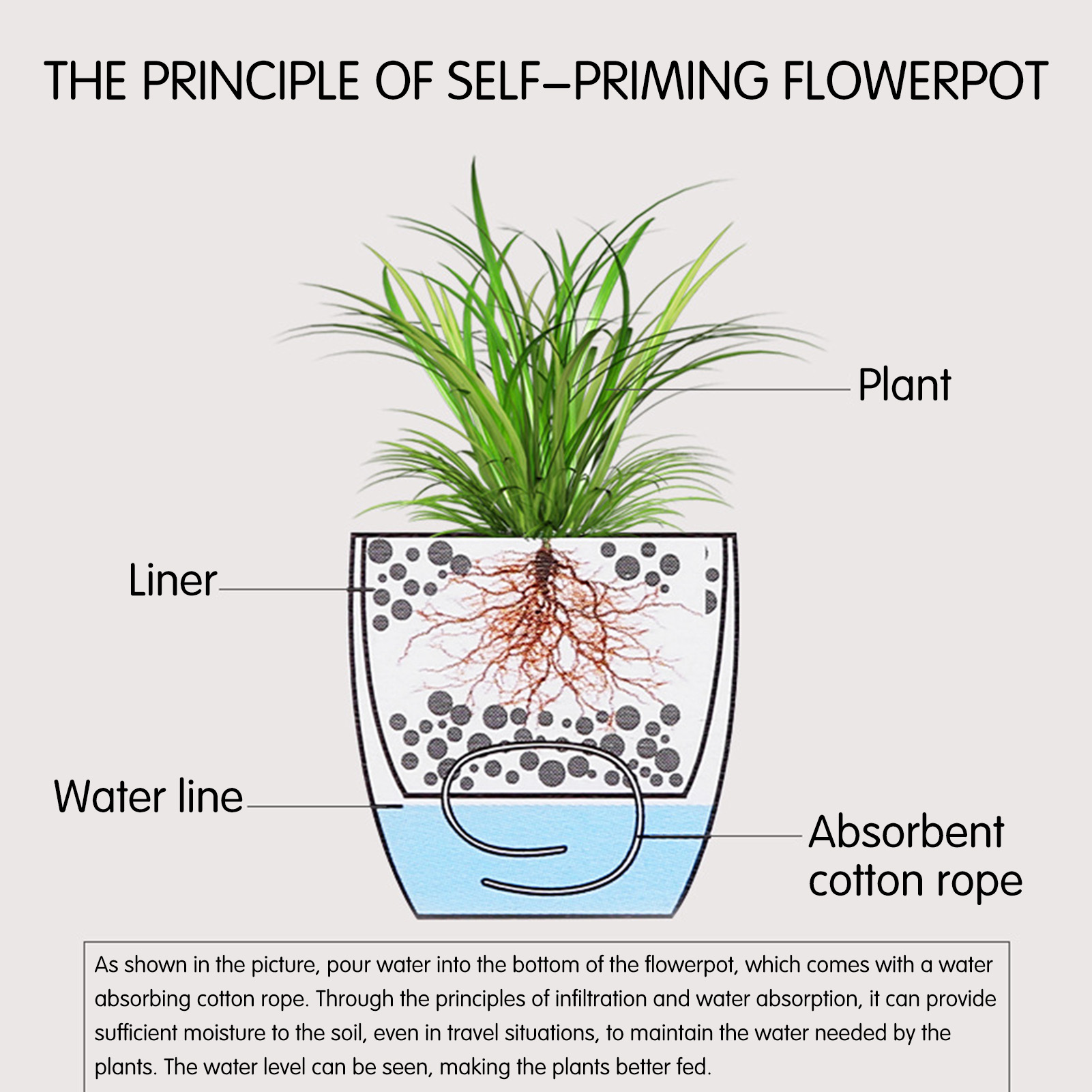 กระถางต้นไม้รดน้ำอัตโนมัติ กระ - Aloe Vera Pot บทวิจารณ์และราคา