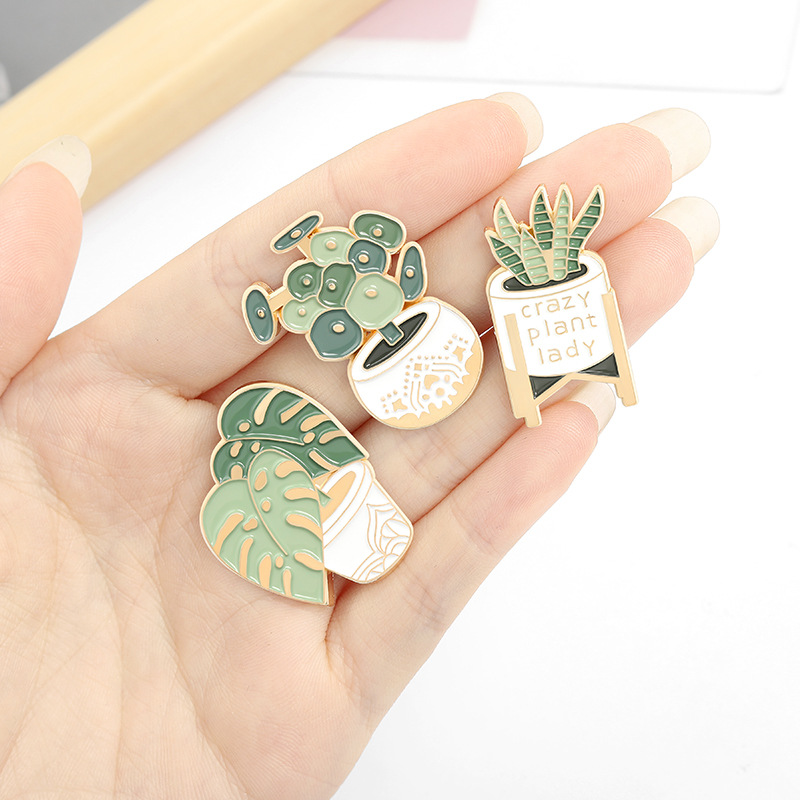 กระถางต้นไม้เข็มกลัด Monstera  - Aloe Vera Pot บทวิจารณ์และราคา