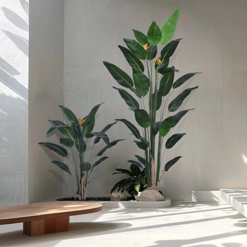 ต้นสตรีลิซเซียปลอมขนาดใหญ่เหมื - Bird Paradise Strelitzia บทวิจารณ์และราคา
