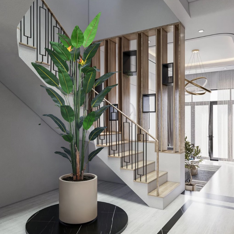 ต้นสตรีลิซเซียปลอมขนาดใหญ่เหมื - Bird Paradise Strelitzia บทวิจารณ์และราคา