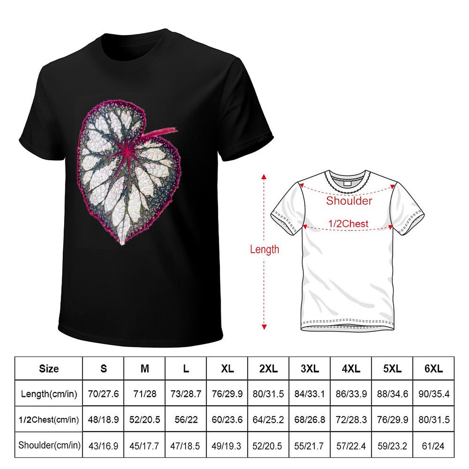 เสื้อยืดเบโกเนียเร็กซ์ ผ้าสเตร - Begonia Rex บทวิจารณ์และราคา