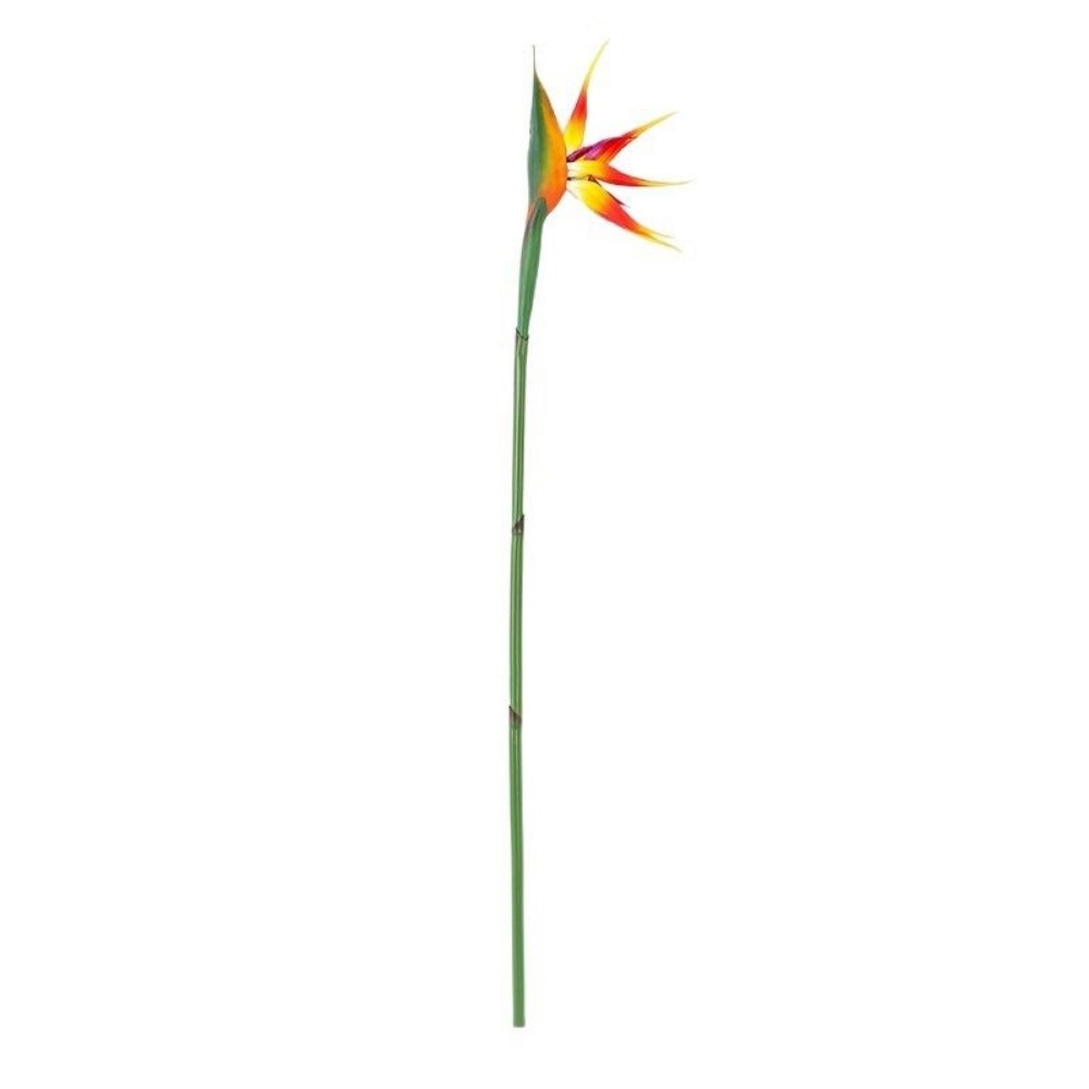 ดอกสตรีลิเซียประดิษฐ์ ก้านยาว  - Bird Paradise Strelitzia บทวิจารณ์และราคา