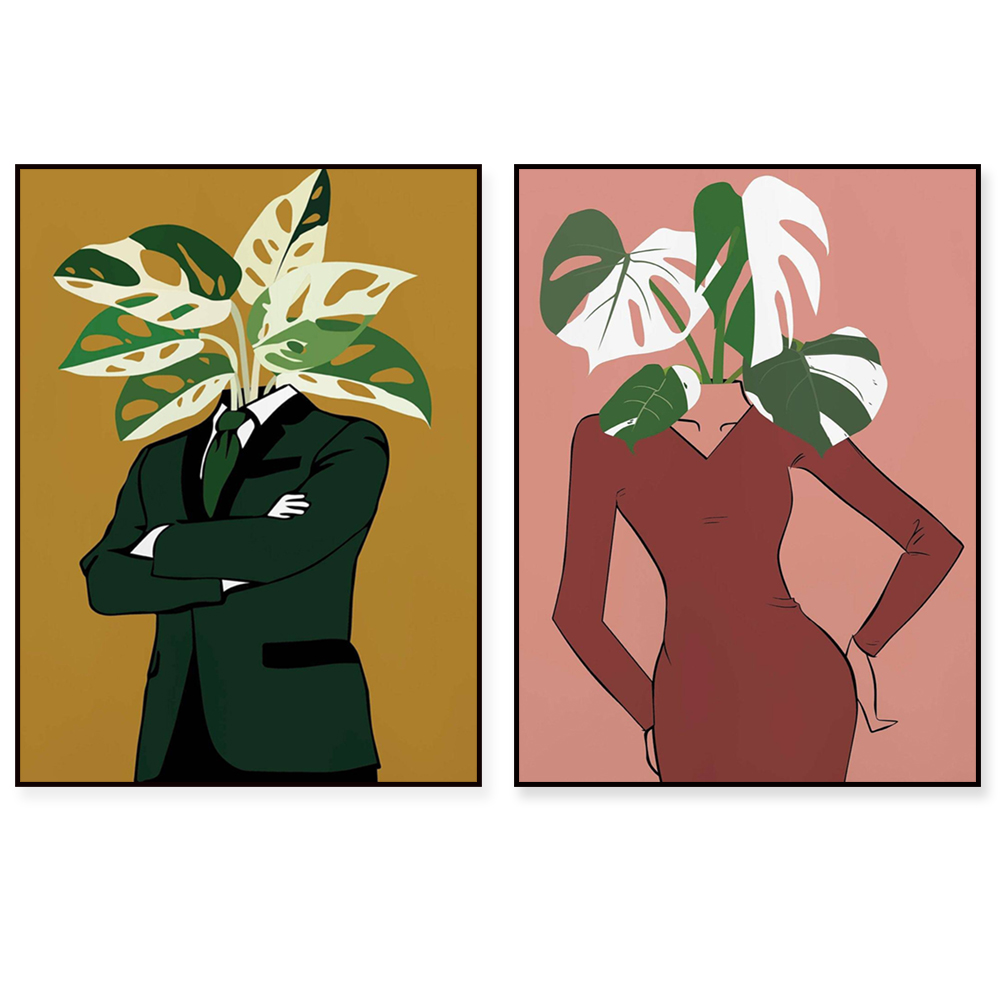 Monstera Albo ในโปสเตอร์ชุดเบอ - Monstera Adansonii บทวิจารณ์และราคา