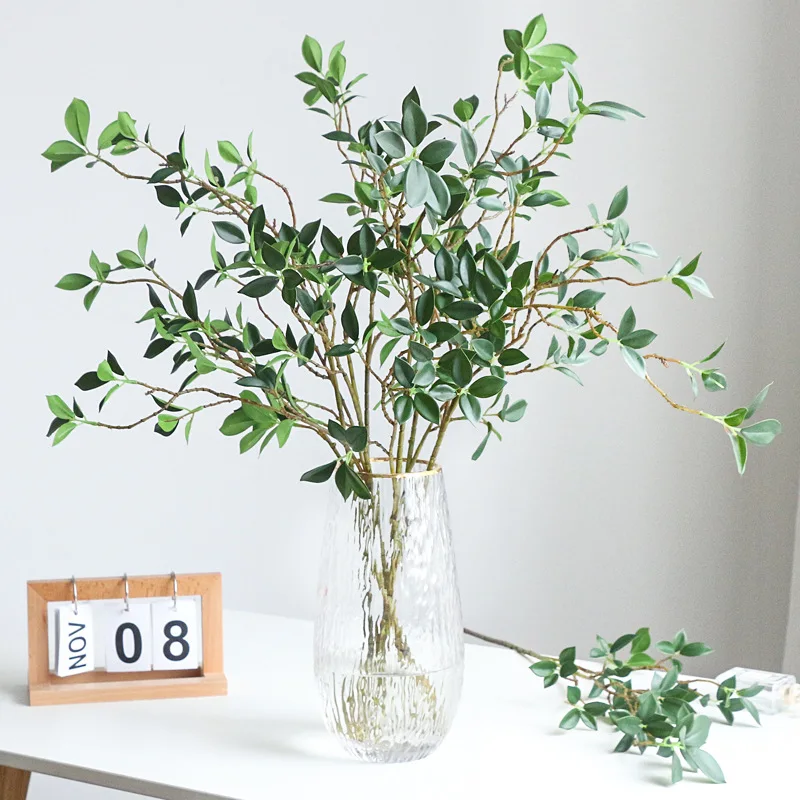ประดิษฐ์ Tenuifolia Ficus สาขา - Ficus Lyrata Tree บทวิจารณ์และราคา