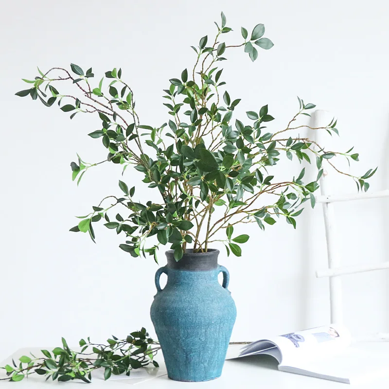 ประดิษฐ์ Tenuifolia Ficus สาขา - Ficus Lyrata Tree บทวิจารณ์และราคา