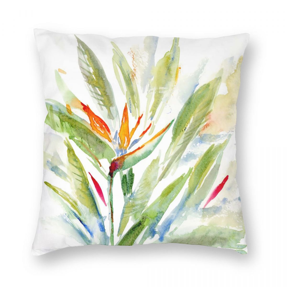 Bird Of Paradise Strelitzia ปล - Bird Paradise Strelitzia บทวิจารณ์และราคา