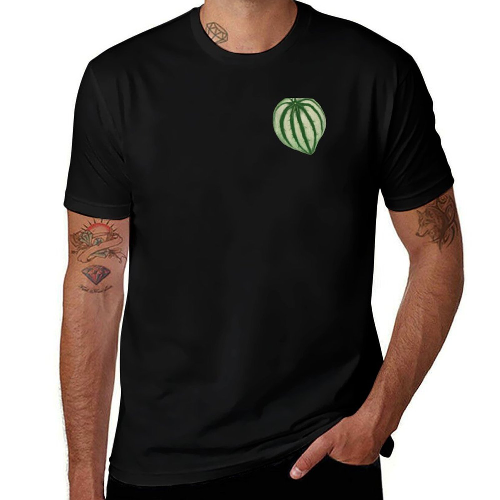 เสื้อยืดลายแตงโม Peperomia ลำล - Peperomia Watermelon บทวิจารณ์และราคา