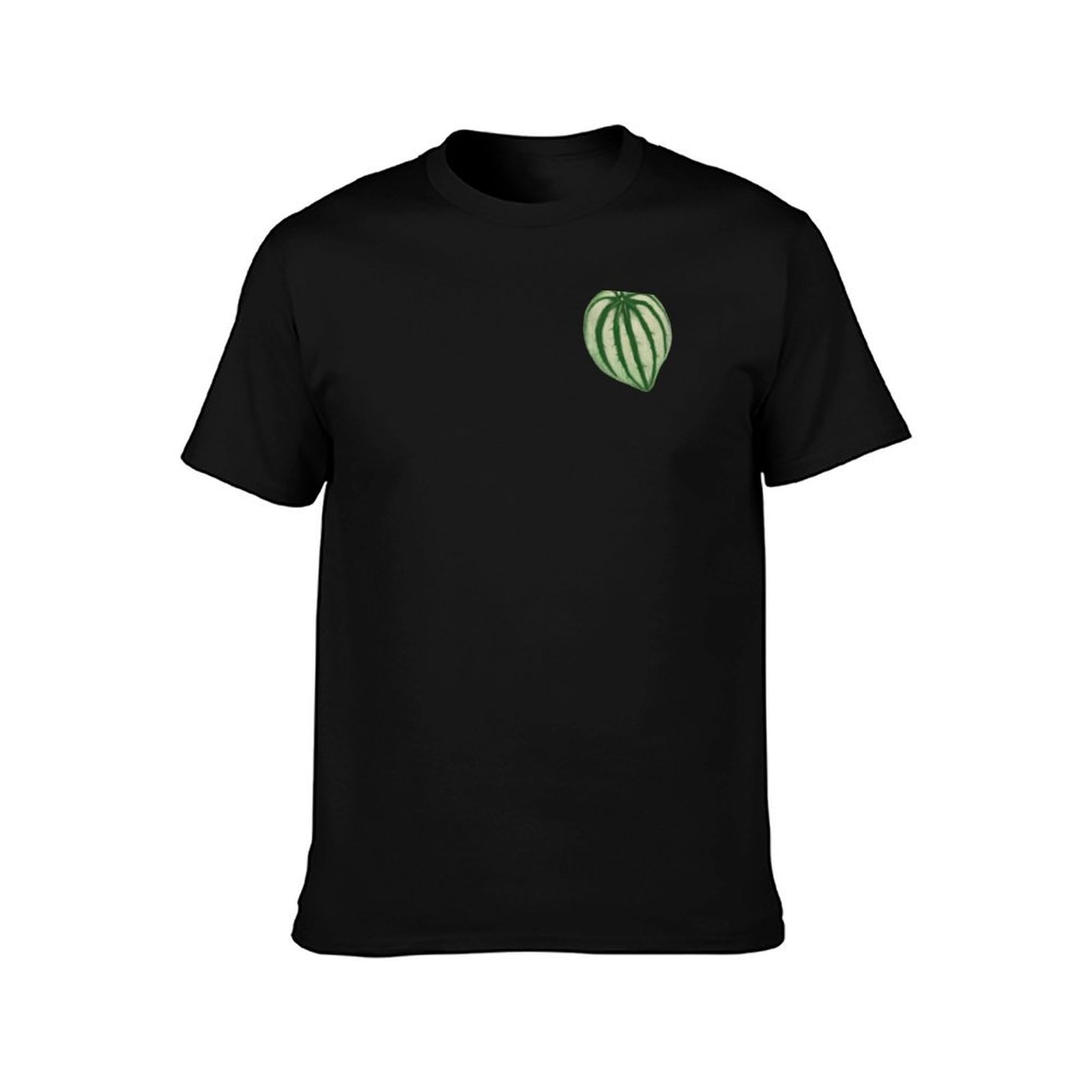 เสื้อยืดลายแตงโม Peperomia ลำล - Peperomia Watermelon บทวิจารณ์และราคา