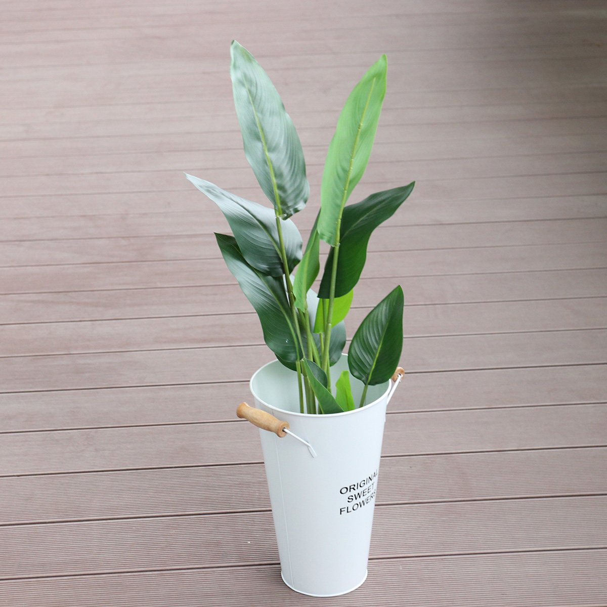 กระถางปลูกต้นไม้เหล็กดัดสำหรับ - Aloe Vera Pot บทวิจารณ์และราคา